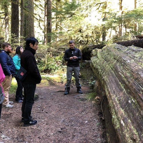 Mt. Rainier: All-Inclusive Small-Group Day Trip from Seattle — gallery 1