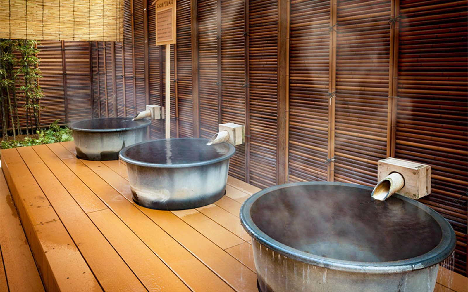 Tickets to Arima Onsen Taikou-no-yu Spa with Hankyu/Hanshin Railway Pass — gallery 1