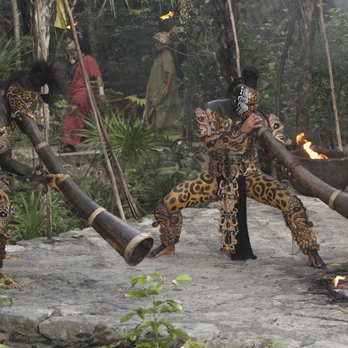 Xcaret Park: Entry Ticket — gallery 3