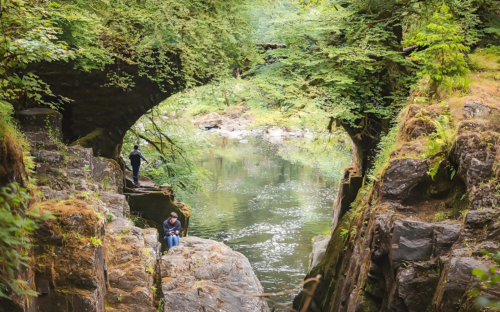 Day Tour Whisky & Waterfalls with Transfers from Edinburgh  & Distillery Entry