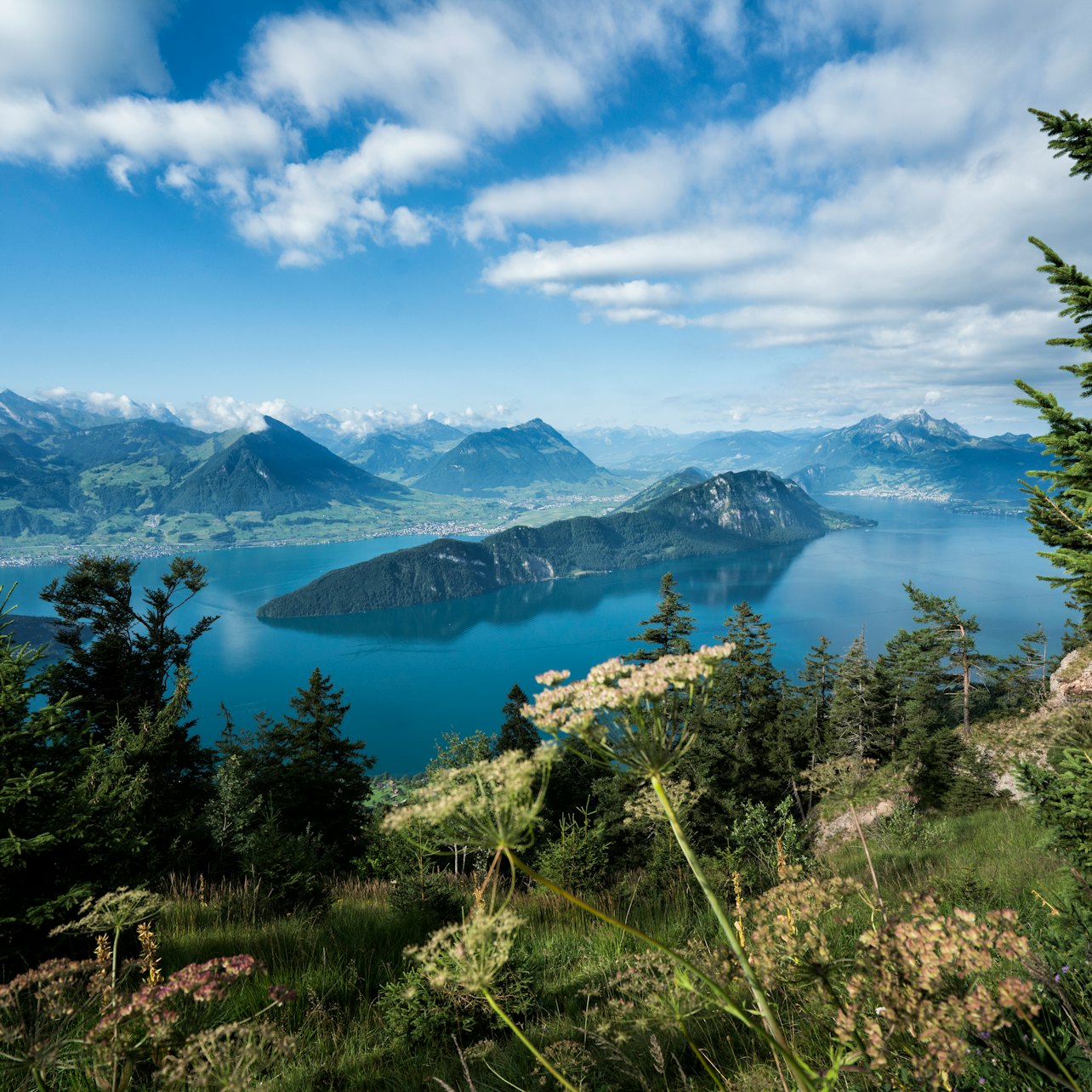 Mount Rigi: Day Tour from Zurich
