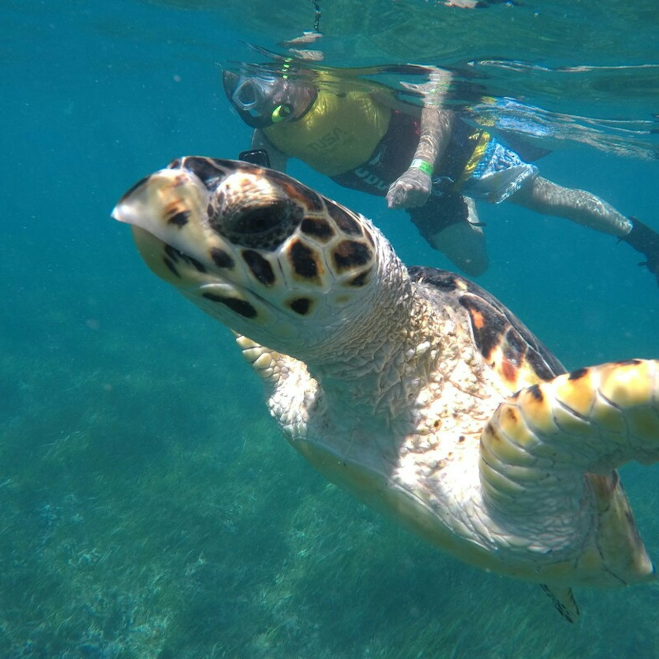 Go City Cancun Pass: Access to 14 Attractions with Chichén Itzá