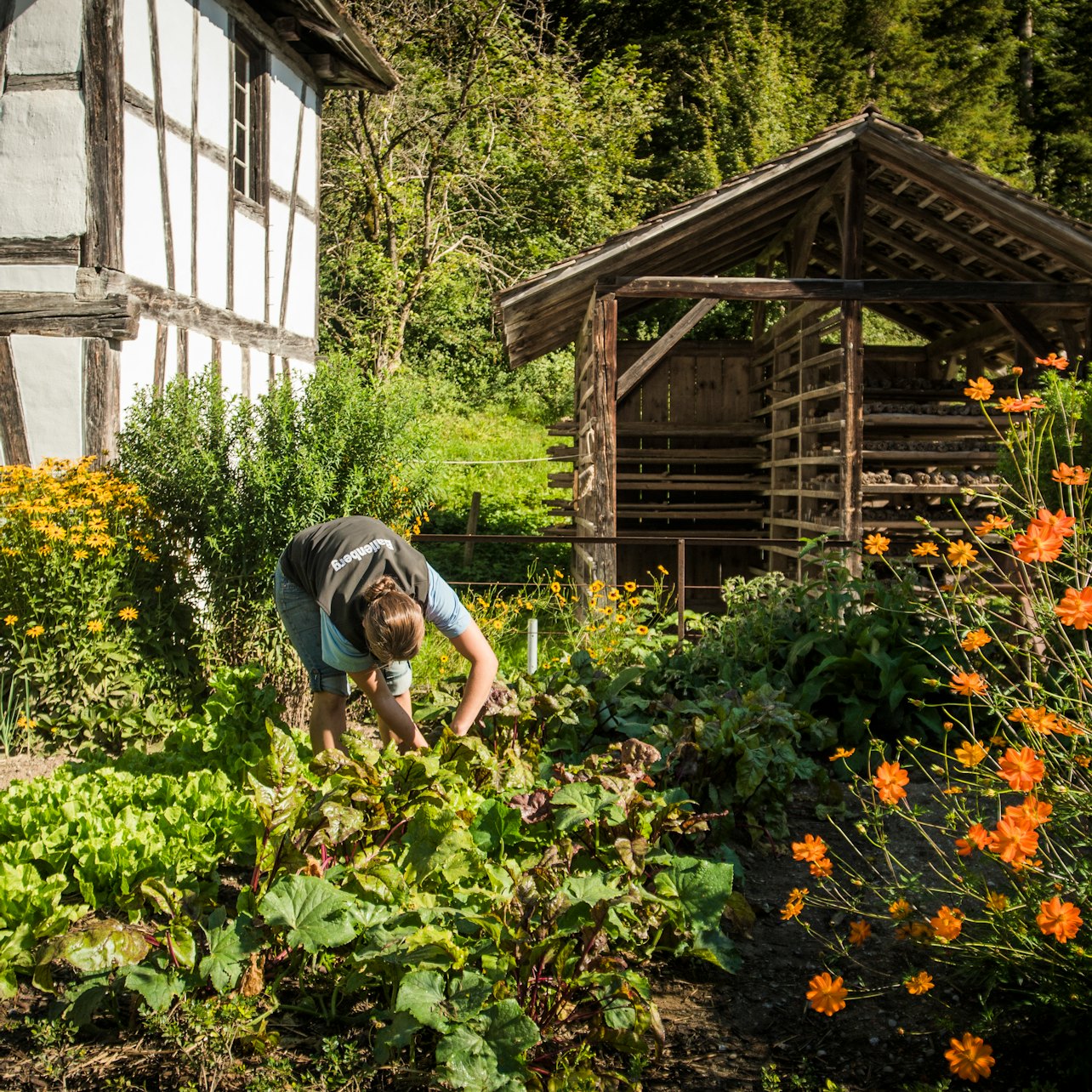 Open-Air Museum Ballenberg: Skip The Line Ticket