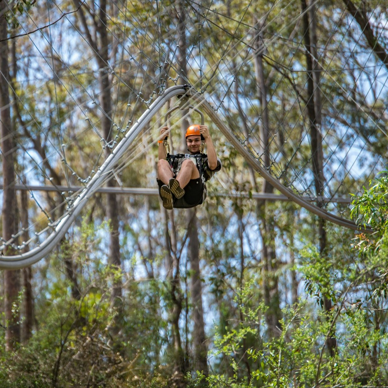 Western Sydney: Treetops Adventure