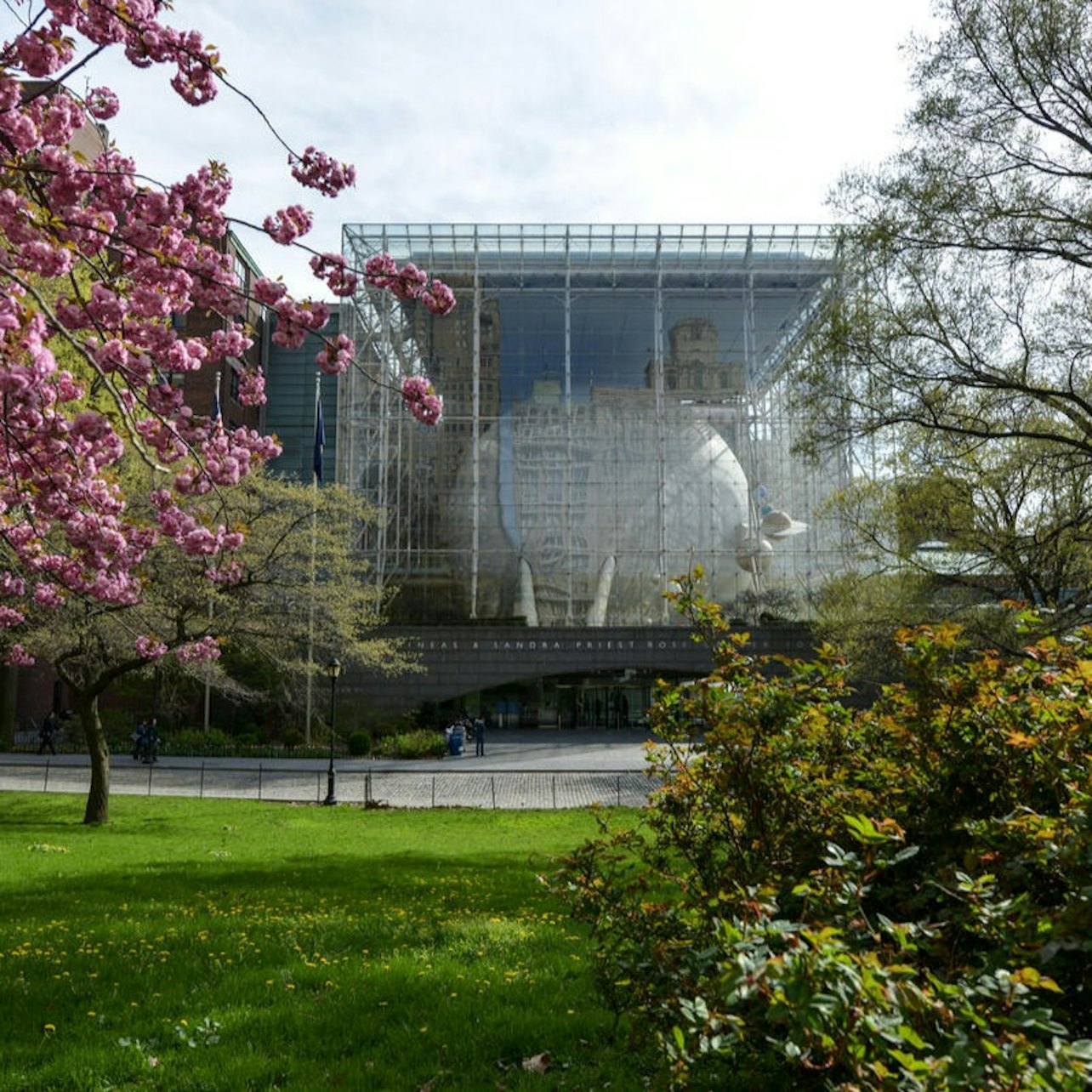 American Museum of Natural History (AMNH): The Rose Center For Earth and Space tickets at Frederick Phineas and Sandra Priest Rose Center for Earth and Space