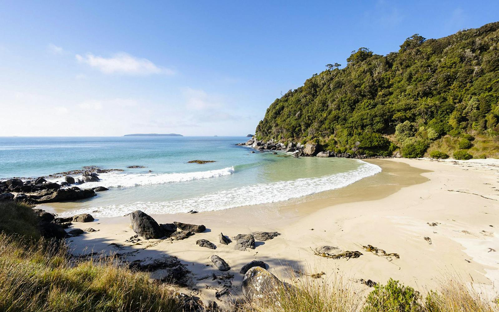 Stewart Island Guided Wilderness Walk