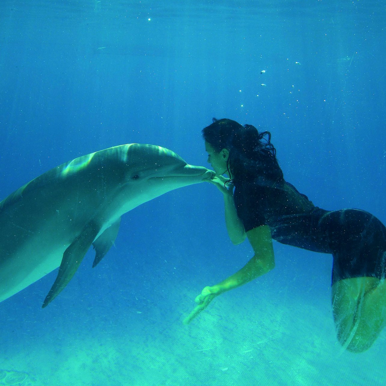 Zoomarine Roma: Reserved Entrance with Dolphins Experience