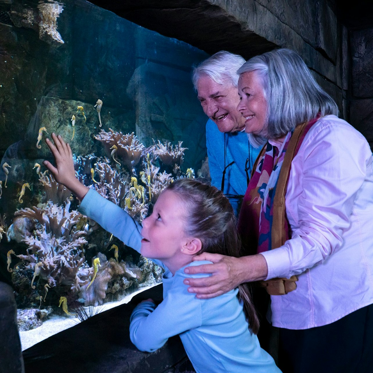 SEA LIFE London: Entry Ticket visitor view at SEA LIFE London