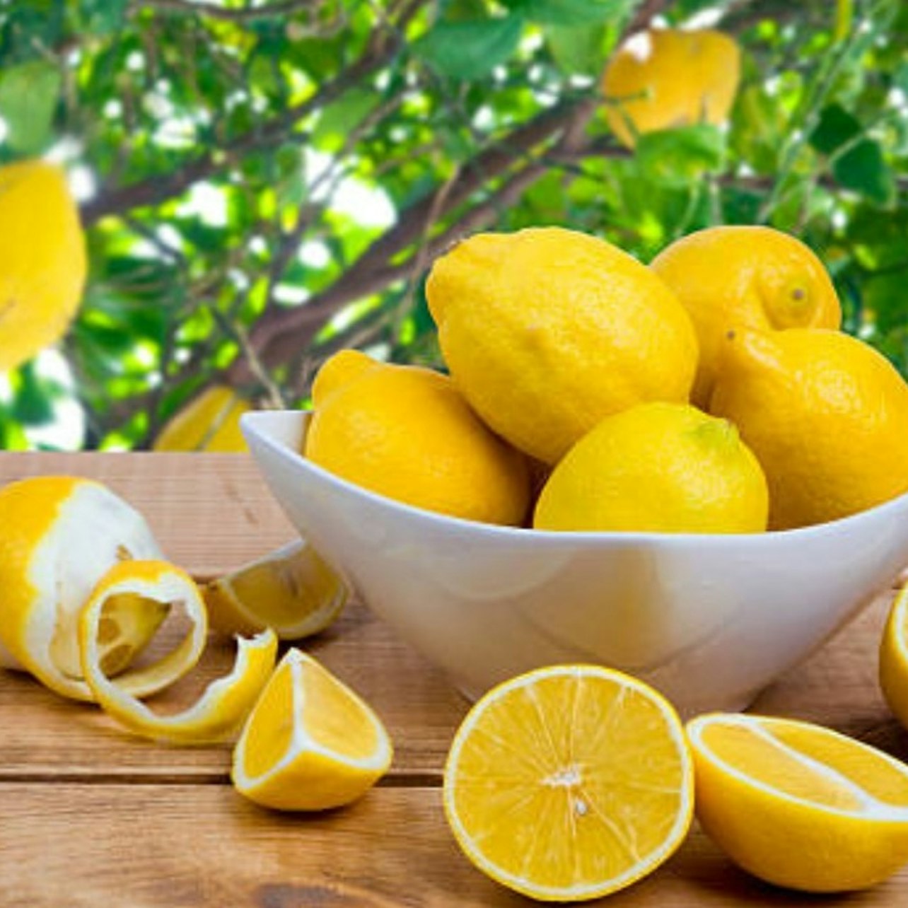 Rome: Limoncello Making Class + Tasting + Pickup