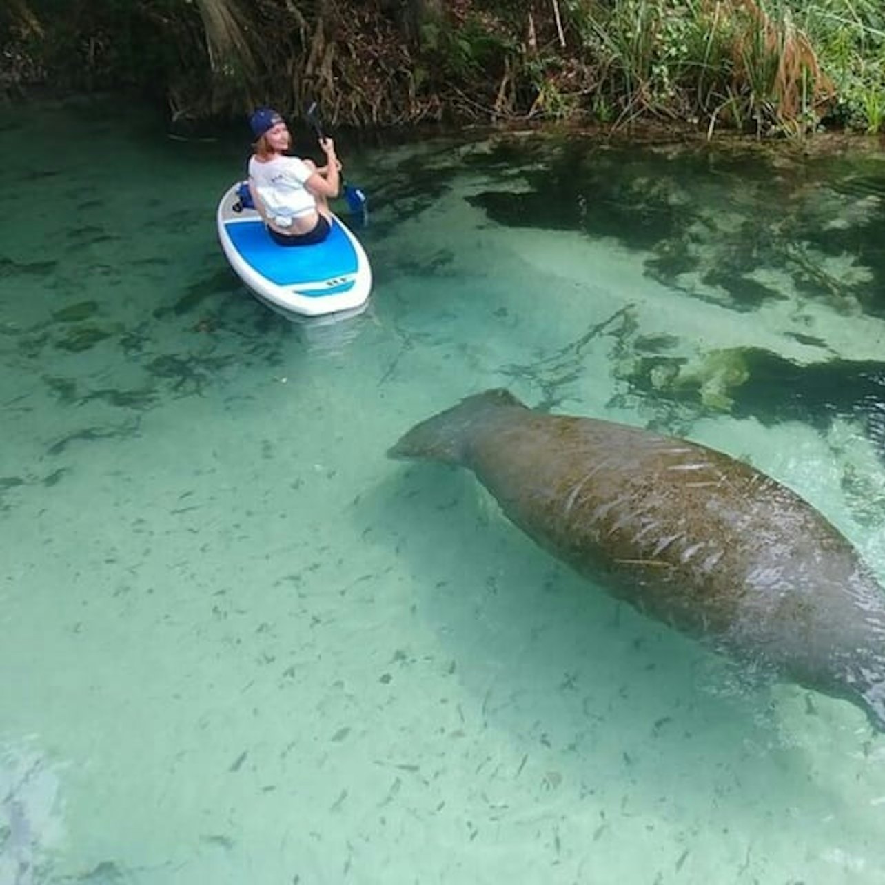 Miami: Nature & Island Exploration on SUP/Kayak