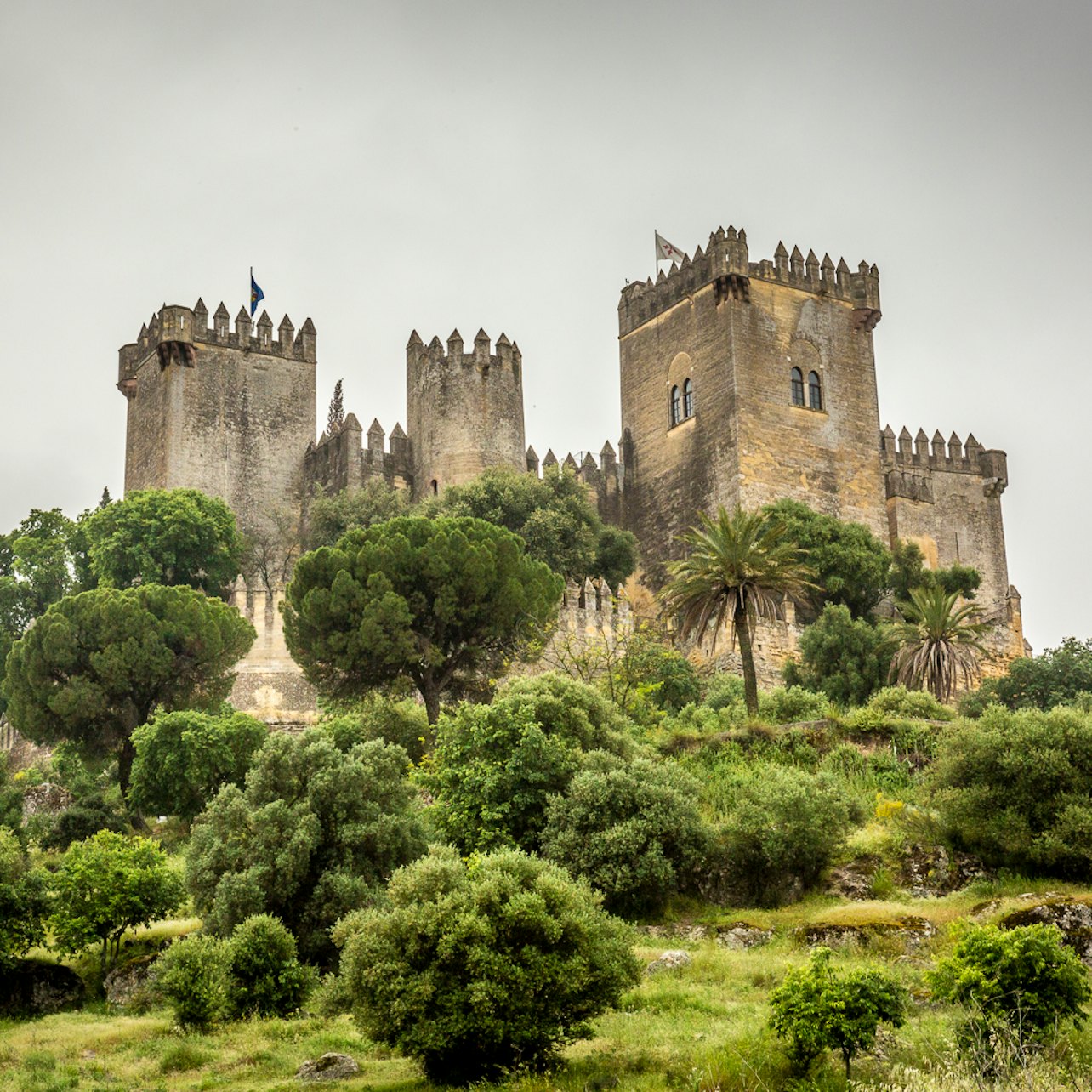 Almodóvar Castle: Entry Ticket