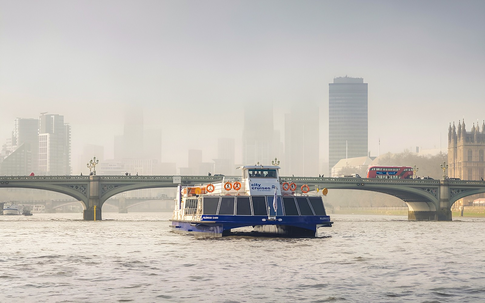 Thames Sightseeing Cruise with Flexible Time and Departure Pier — main image