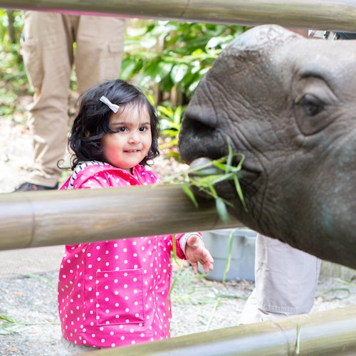 Woodland Park Zoo: Skip The Line Ticket — gallery 1