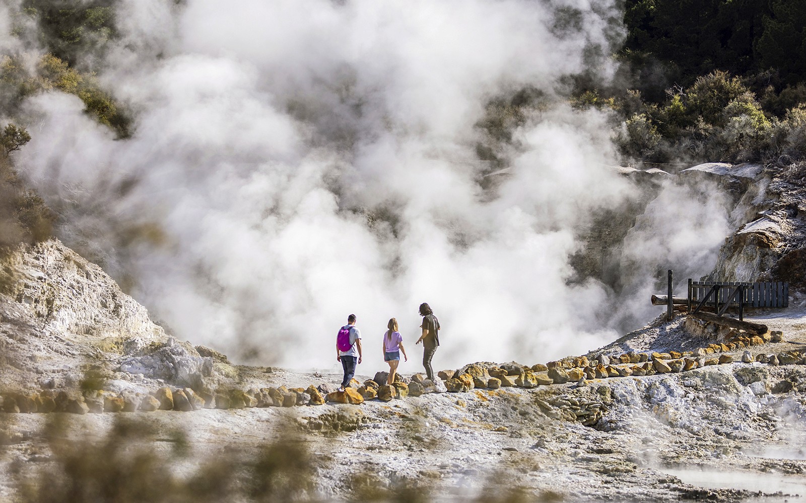 Hell's Gate Geothermal Walk & Māori Carving Tickets