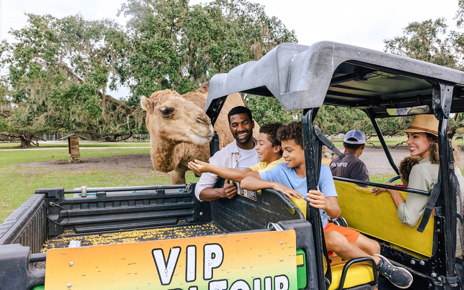Orlando: Wild Florida Drive‑Thru Safari Park — gallery 3