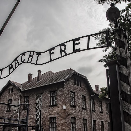 Auschwitz-Birkenau: Guided Tour + Transport + Lunch