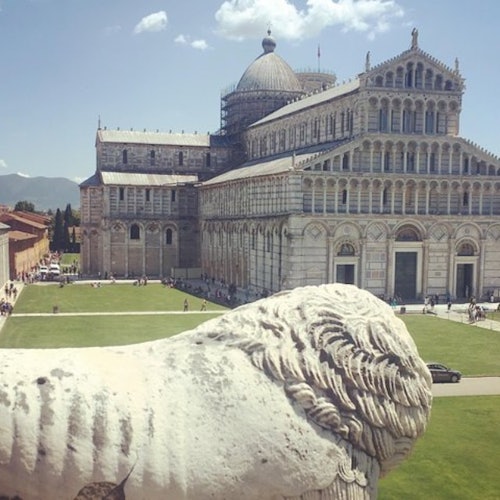 Leaning Tower of Pisa & Cathedral: Guided Tour + Tastings