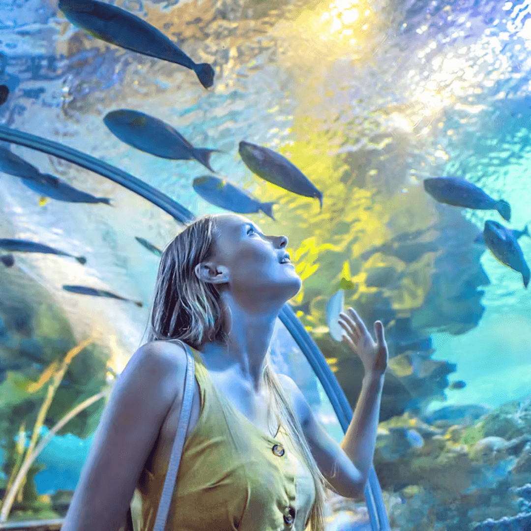 Dubai Aquarium & Underwater Zoo — gallery 3