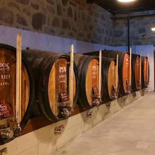 Caves Poças: Guided Tour + Tasting of 2 DOC Douro Wines + 1 Port Wine