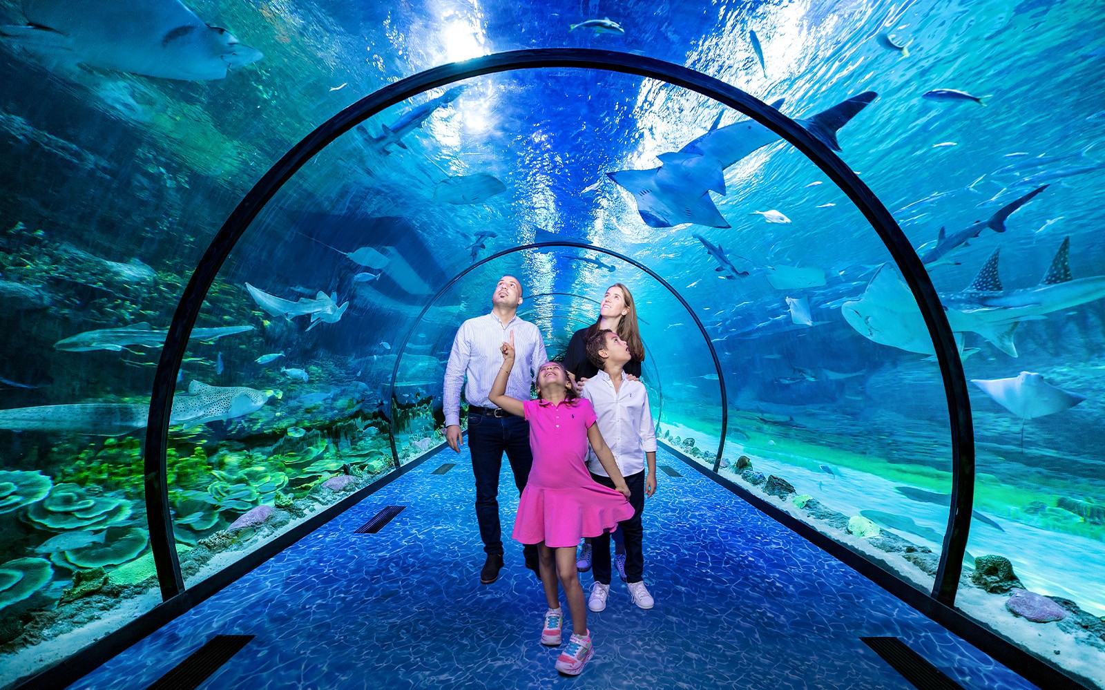 National Aquarium Abu Dhabi All Access Pass Tickets