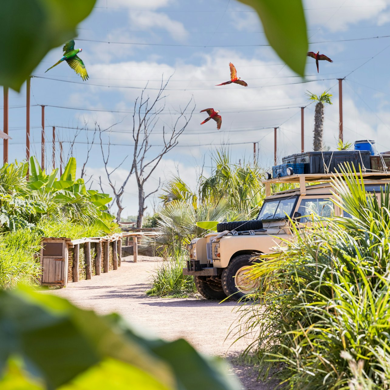 Parrot World: Annual Pass