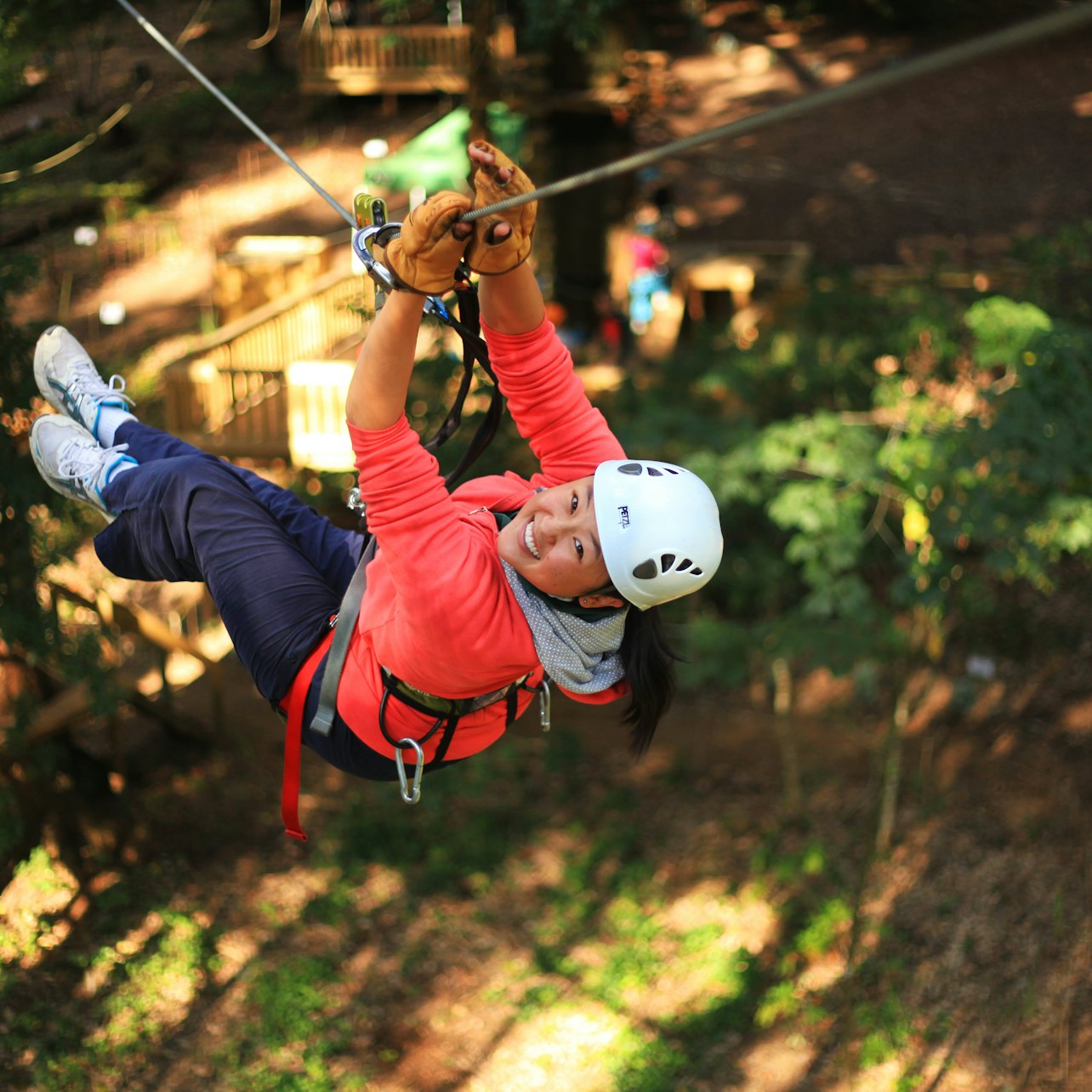 Treetops Adventure: Belgrave Park