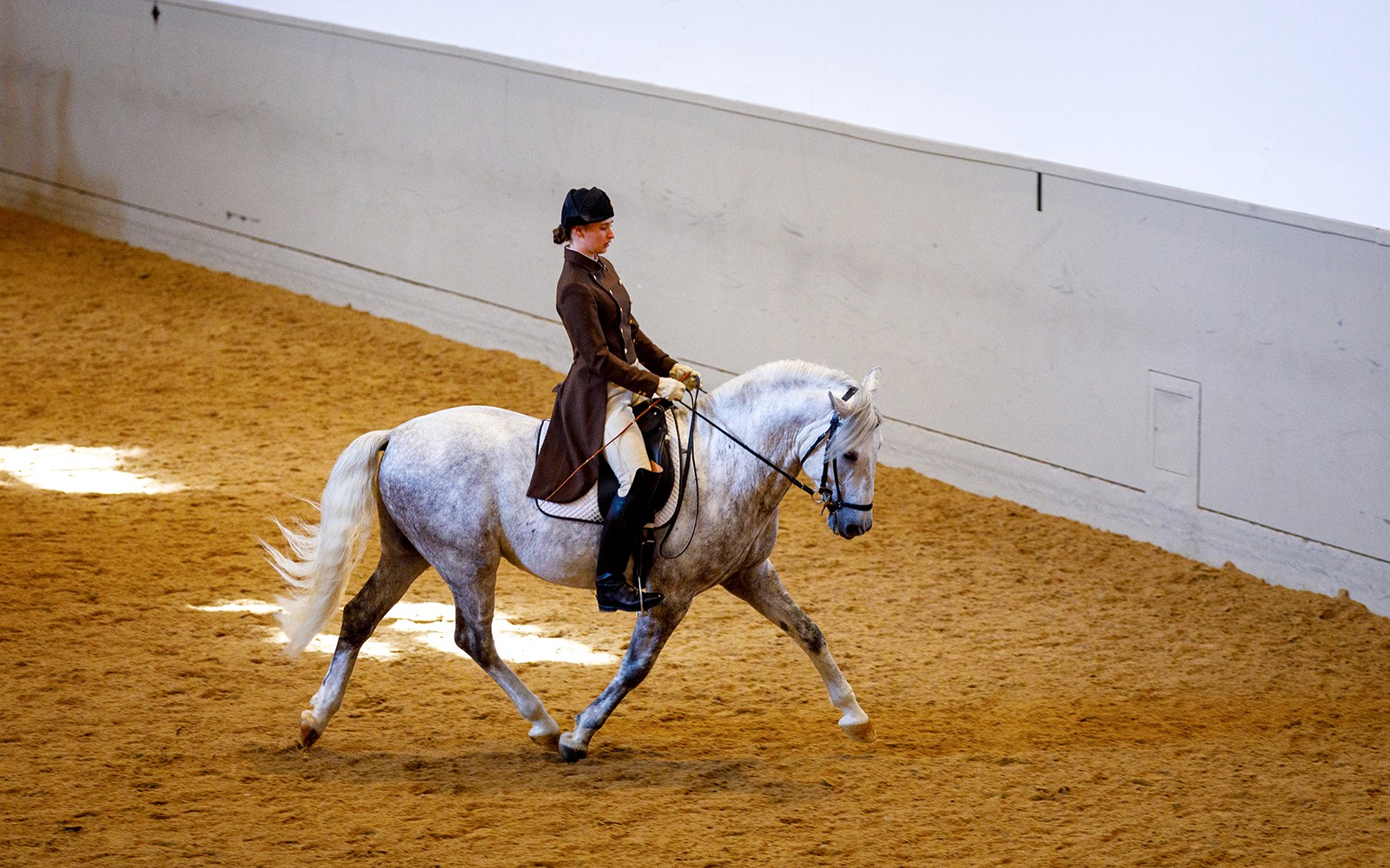 Spanish Riding School Training with Music Tickets