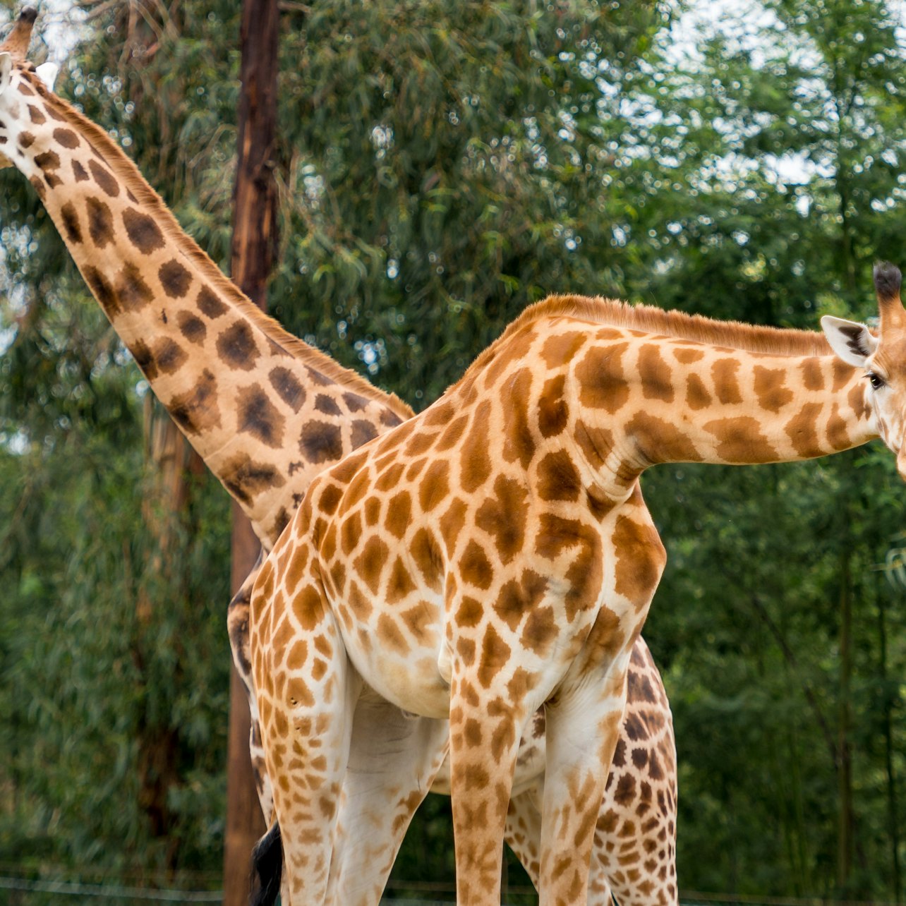 Zoo Santo Inácio: Skip The Line Ticket — gallery 2