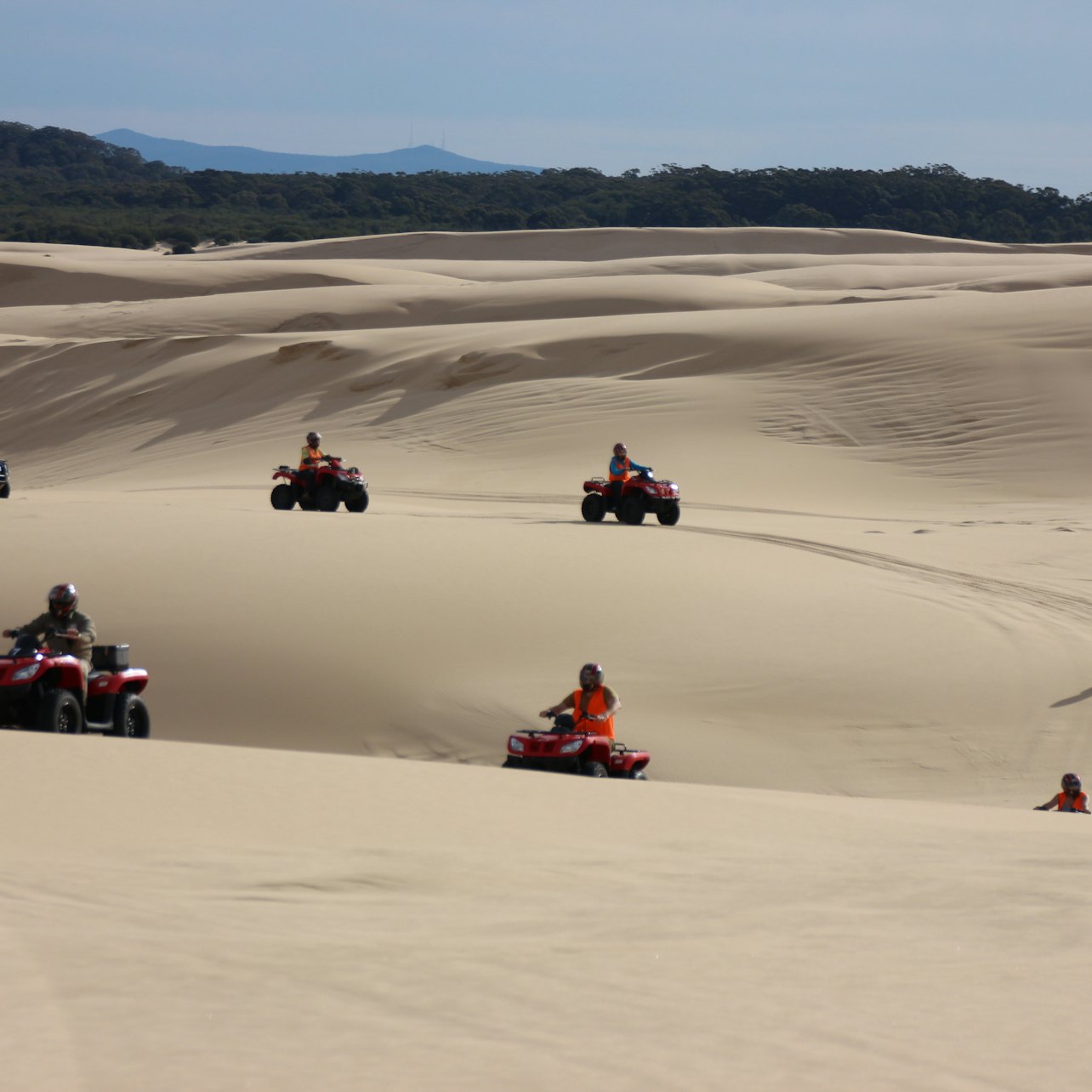 Worimi Sand Dunes Quad Bike Tour
