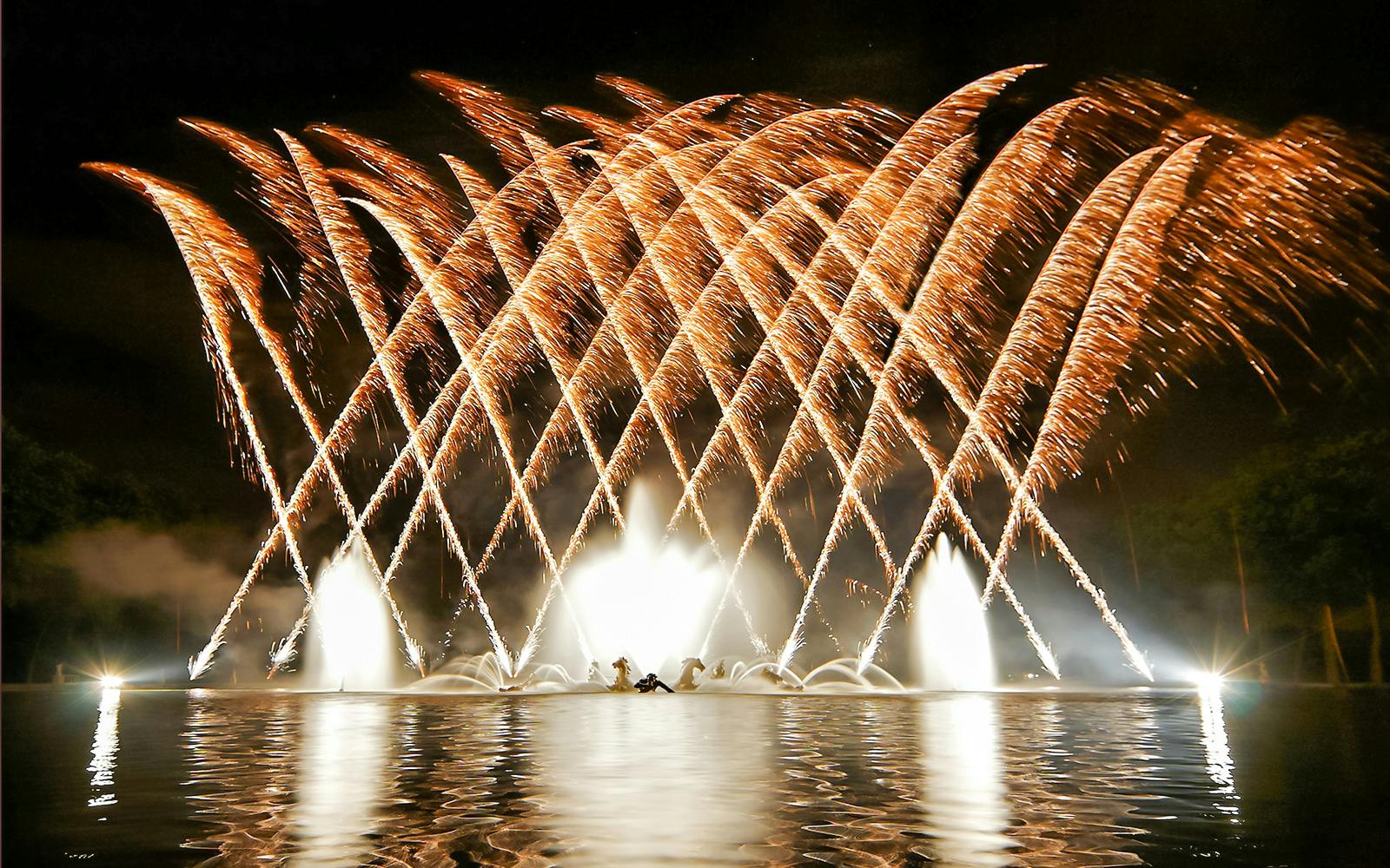 Versailles Night Fountains Show from Paris