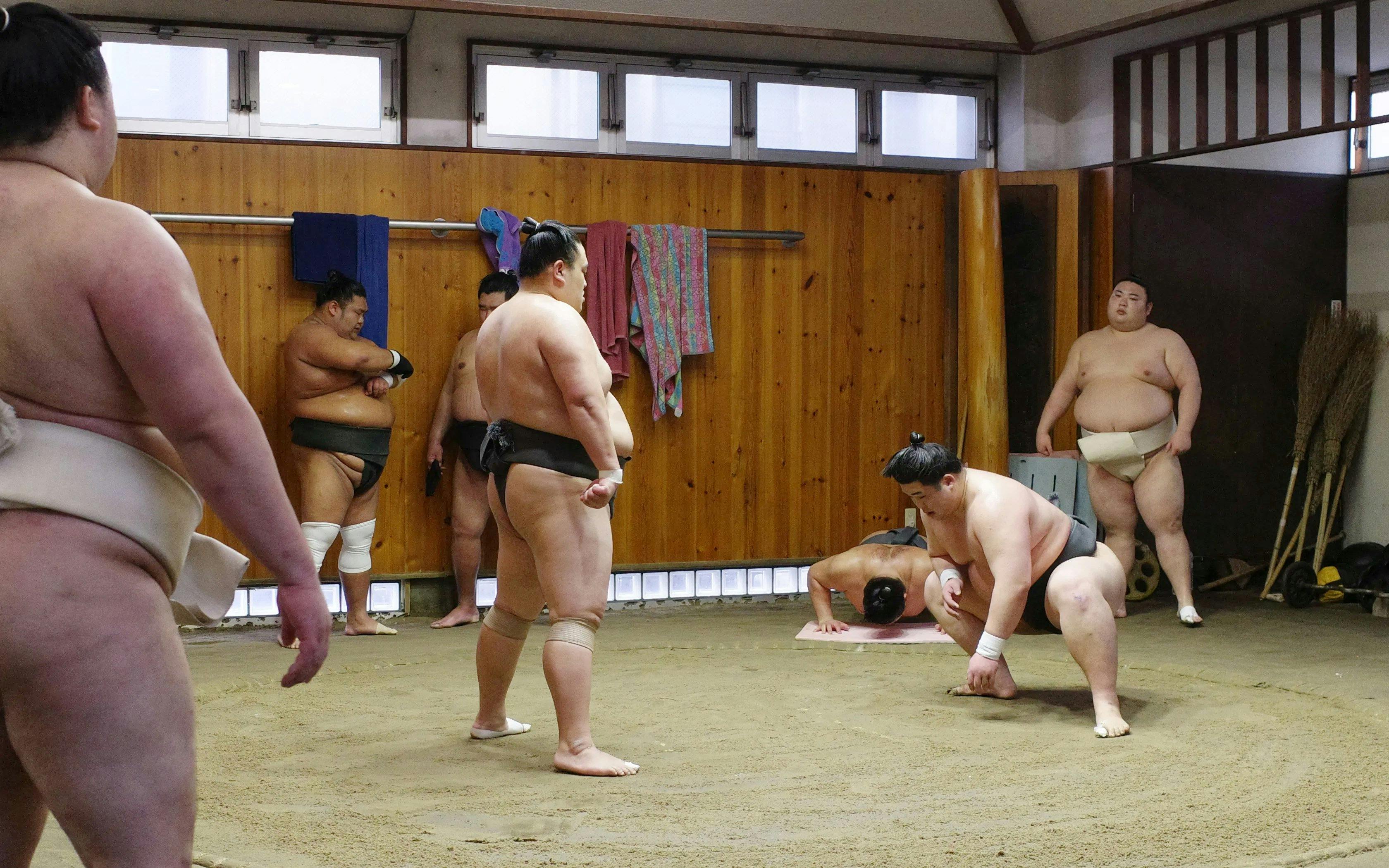Premium Professional Sumo Morning Practice Experience in Asakusa