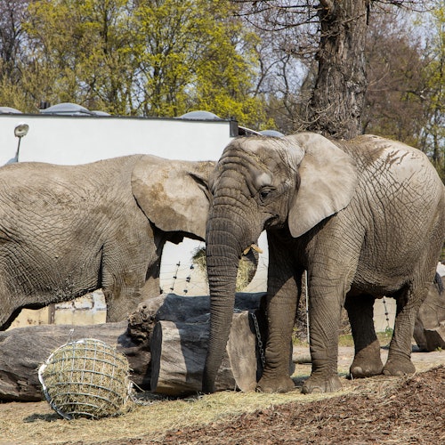 Warsaw Zoo Park with Private Transport