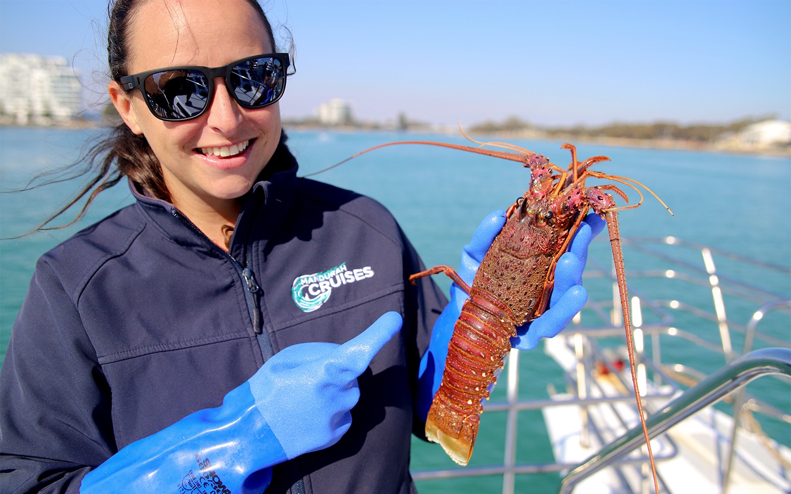 From Mandurah: Scenic View Dolphin Cruise