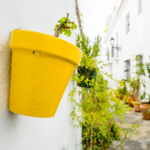 Nerja & Frigiliana: Guided Tour from Granada