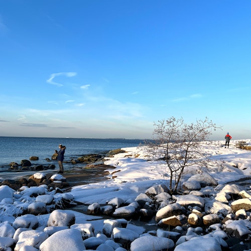 Helsinki: Archipelago Excursion — gallery 3