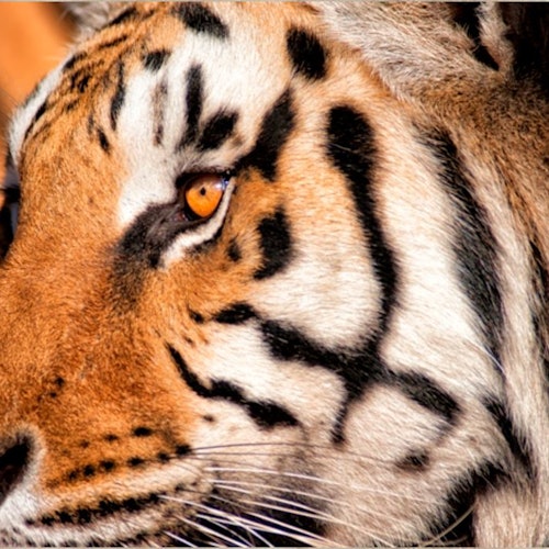 Out of Africa Wildlife Park: Entry Ticket — gallery 4