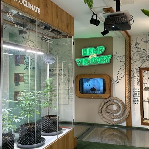 Cannabis Museum Amsterdam
