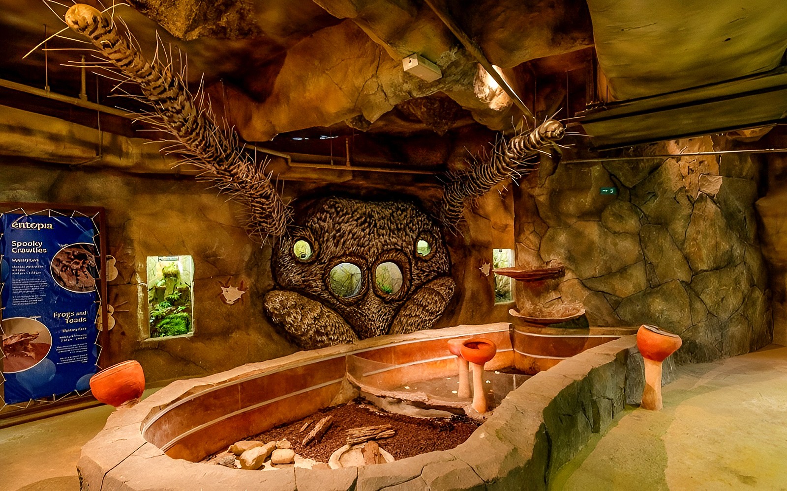 Entopia by Penang Butterfly Farm Tickets — gallery 5