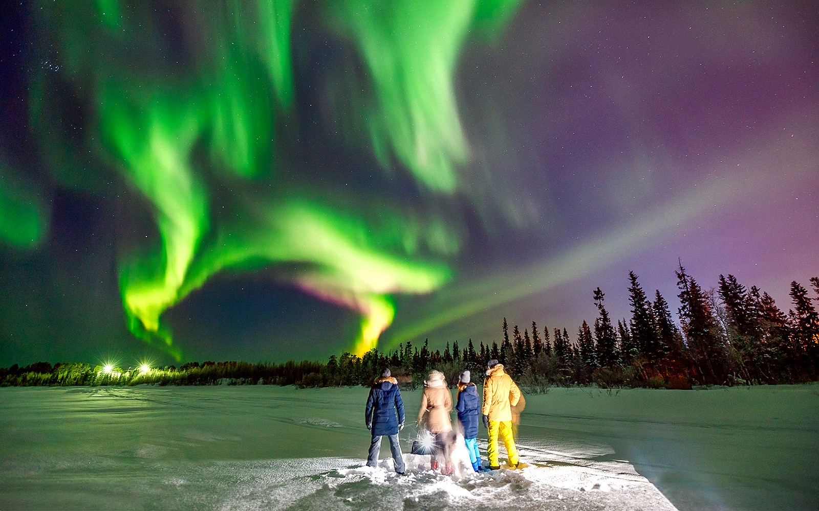 Reykjavik: Blue Lagoon Admission Tickets + Northern Lights Tour — gallery 2