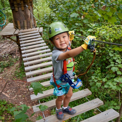 Treetops Adventure: Belgrave Park — gallery 1