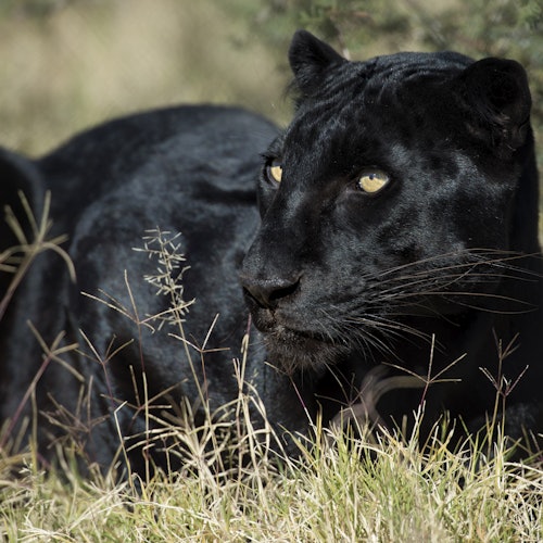 Out of Africa Wildlife Park: Entry Ticket — gallery 3