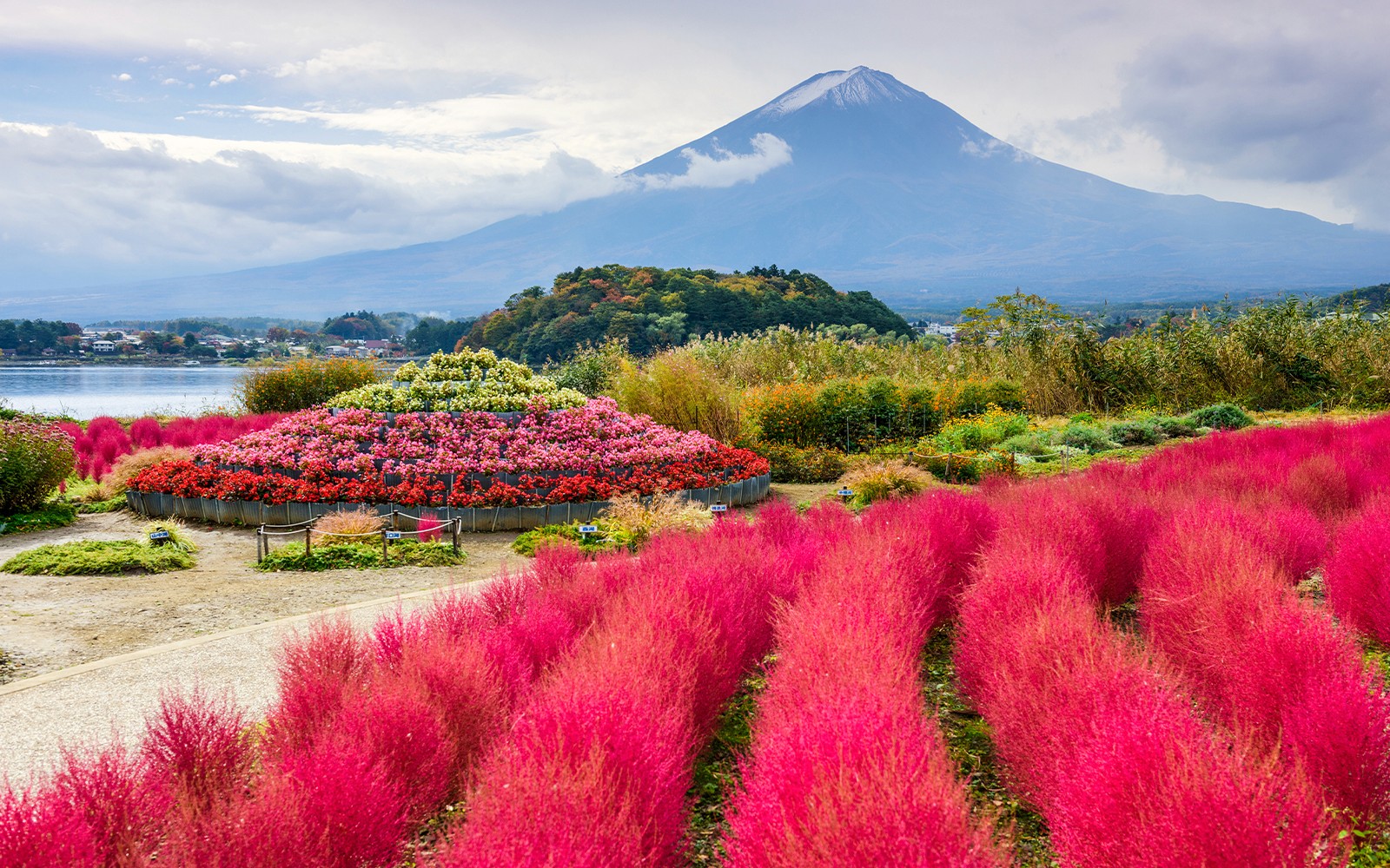 Mount Fuji Highlights Tour: Chureito Pagoda, Lake Kawaguchi, Oshino Hakkai, & More