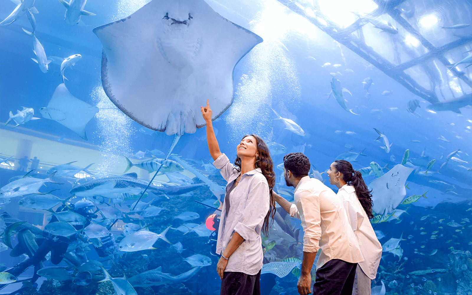 Combo: Tickets to Burj Khalifa At The Top + Dubai Aquarium & Underwater Zoo — gallery 4