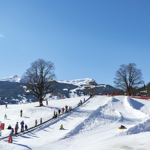 Bodmi Arena: Entry Ticket + Sledding Experience — gallery 1