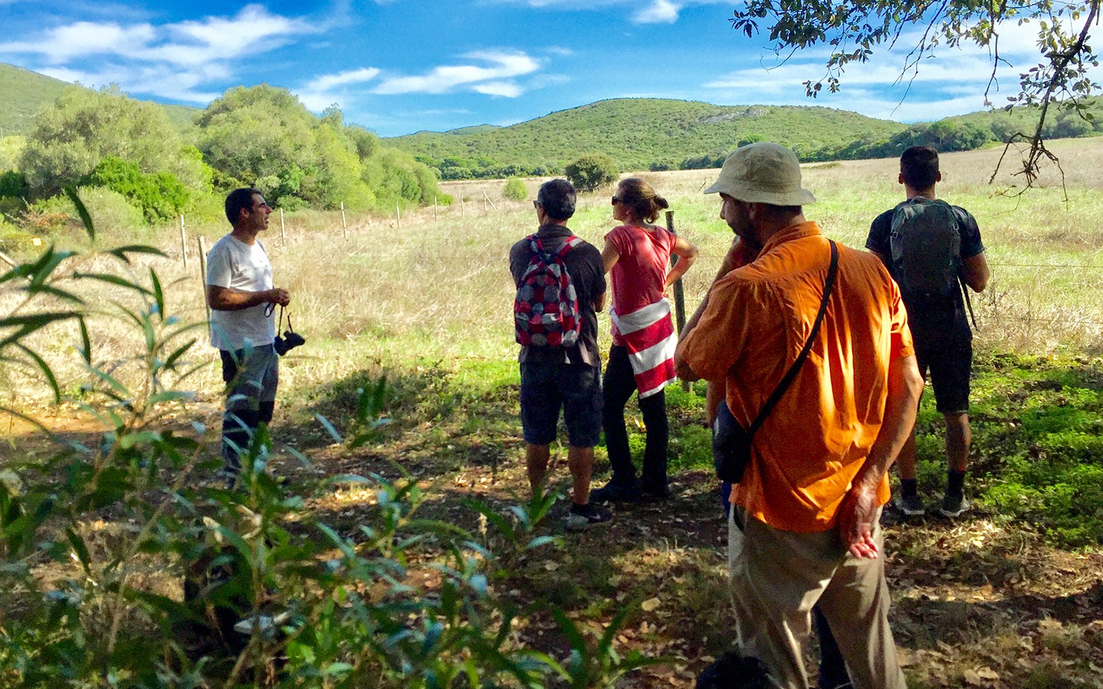 Half-Day Hiking at Arrábida Natural Park — gallery 3