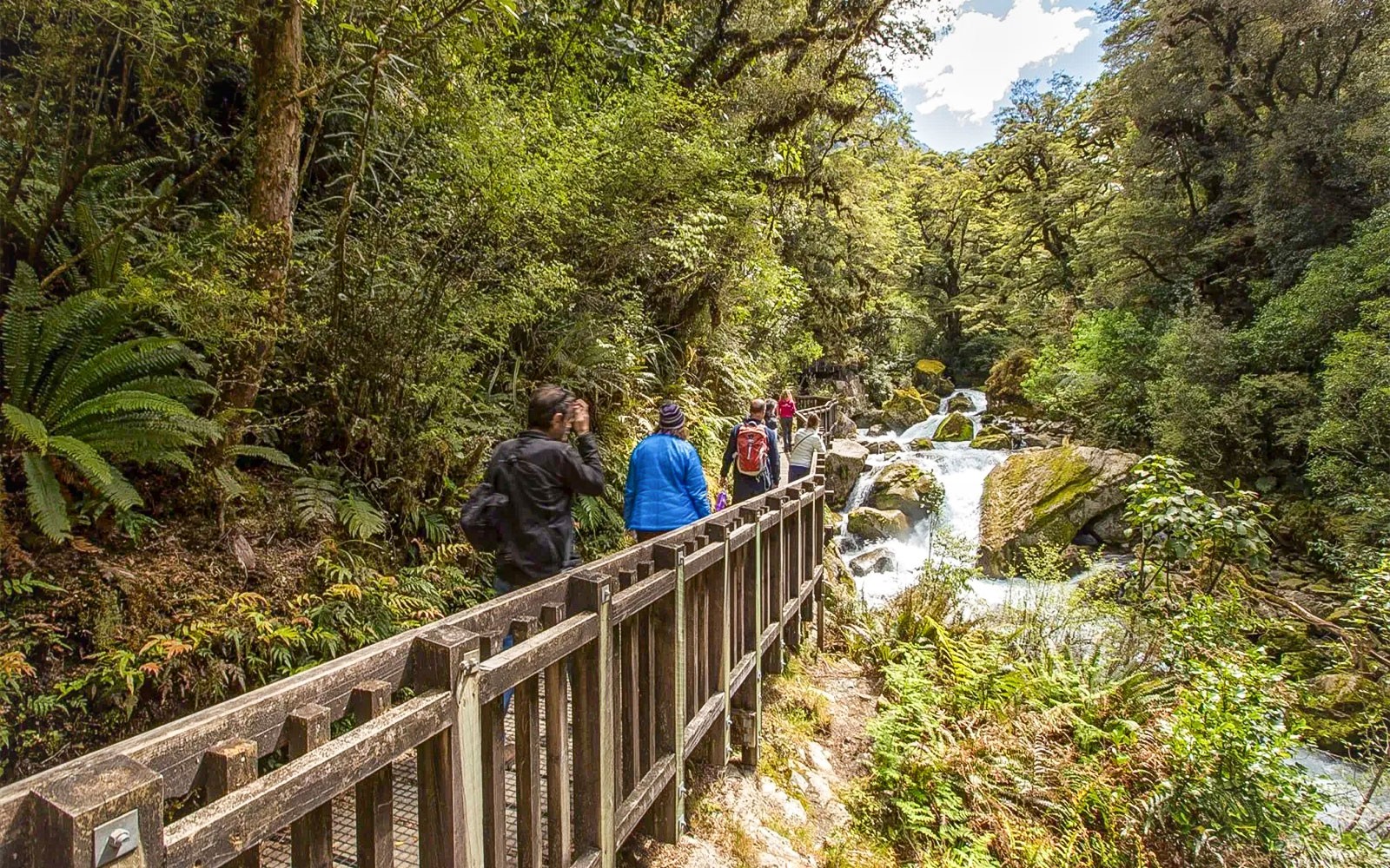 Milford Sound Boutique Small-Boat Cruise