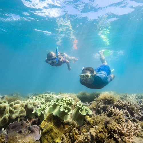 Whitsundays Ocean Rafting: Snorkel, Walk & Whitehaven Beach — gallery 3