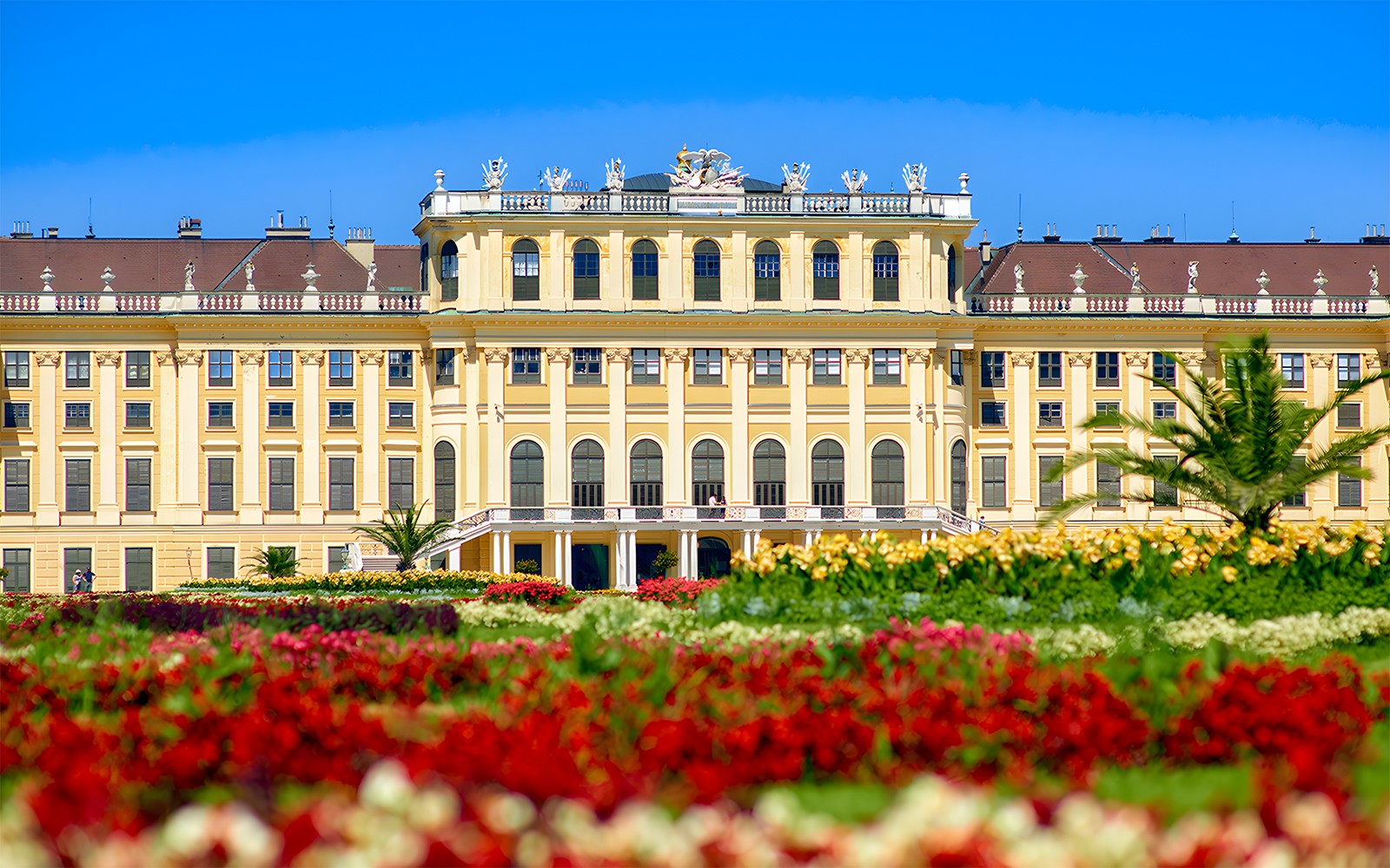 Schönbrunn Palace & Gardens Small-Group Skip-the-Line Guided Tour — gallery 2
