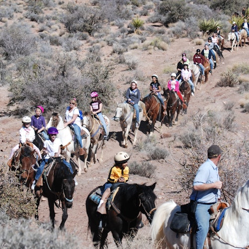 Wild Wild West Sunset Horseback Ride + Dinner — gallery 1