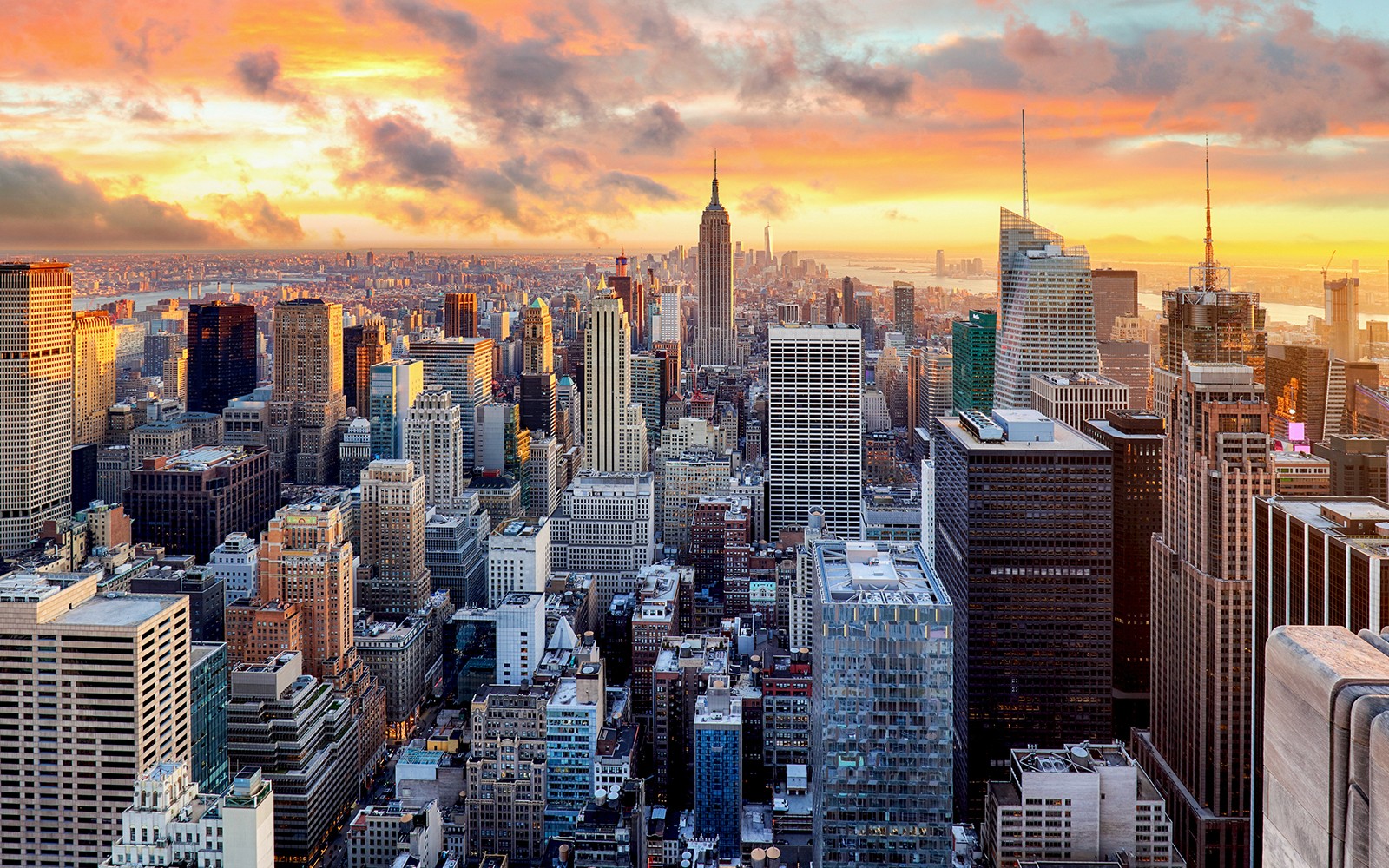 Private Airport Transfers from/to LaGuardia Airport — gallery 2